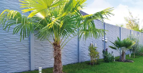 betonzaun standard murano hell 500 (1)